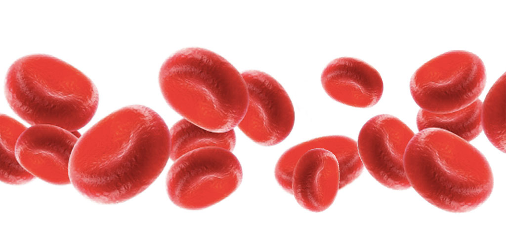 Blood
