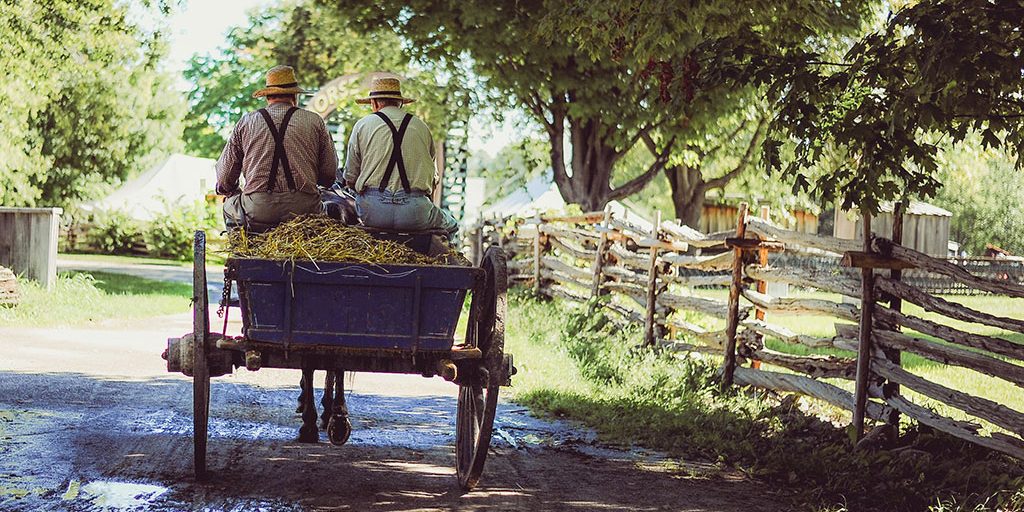 Cart