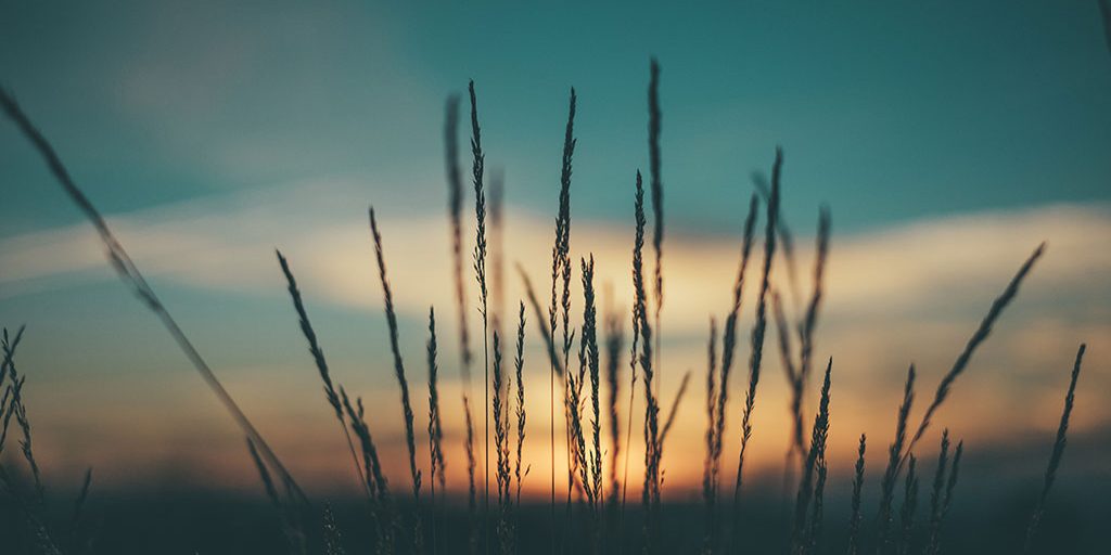 Sun rise
